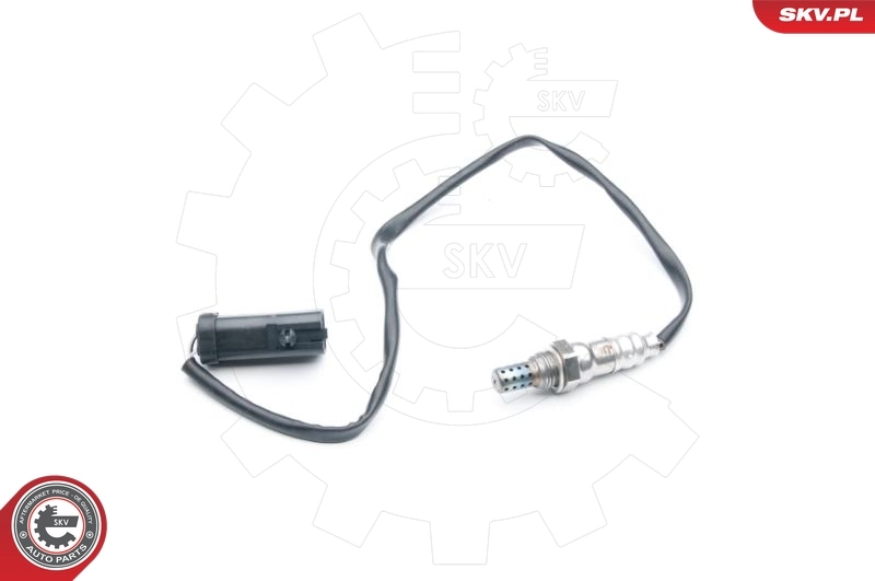 Oxygen Sensor
